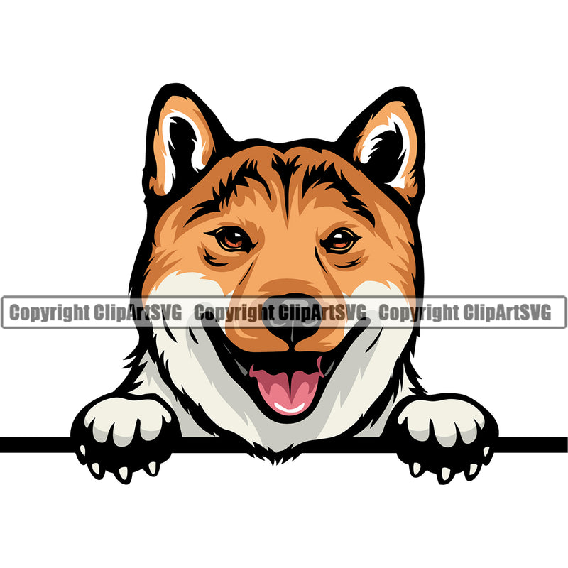 Shiba Inu Dog Peeking Position Smile Face Design Element Pedigree Canine K-9 K9 Animal Portrait Doggy Face Cute Body Puppy Pup Head Purebred Vector Clipart SVG
