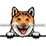 Shiba Inu Dog Peeking Position Smile Face Design Element Pedigree Canine K-9 K9 Animal Portrait Doggy Face Cute Body Puppy Pup Head Purebred Vector Clipart SVG