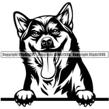 Shiba Inu Dog Smile Face Head Design Element Puppy Pup Purebred Pedigree Canine K-9 K9 Animal Portrait Doggy Face Cute Body Vector Clipart SVG