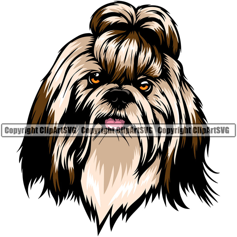 Shih Tzu Dog Color Head Smile Face Design Element Puppy Pup Head Purebred Pedigree Canine K-9 K9 Animal Portrait Doggy Face Cute Body Vector Clipart SVG