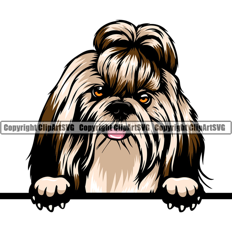 Dog Color Head Peeking Design Element Smile Face Puppy Pup Head Purebred Pedigree Canine K-9 K9 Animal Portrait Doggy Face Cute Body Vector Clipart SVG