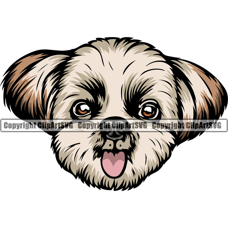 Shih Tzu Dog Color Head Cute Face Smile Face Design Element Puppy Pup Head Purebred Pedigree Canine K-9 K9 Animal Portrait Doggy Body Vector Clipart SVG