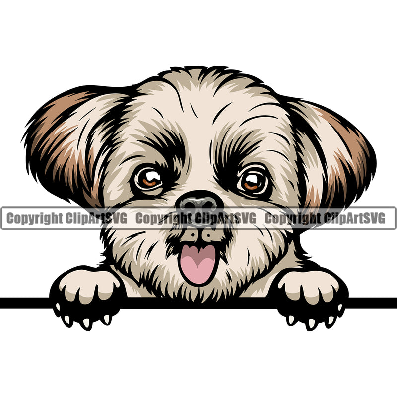 Shih Tzu Dog Peeking Color Head Smile Face Design Element Puppy Pup Purebred Pedigree Canine K-9 K9 Animal Portrait Doggy Face Cute Body Vector Clipart SVG