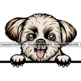 Shih Tzu Dog Peeking Color Head Smile Face Design Element Puppy Pup Purebred Pedigree Canine K-9 K9 Animal Portrait Doggy Face Cute Body Vector Clipart SVG