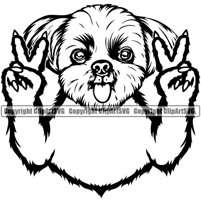 Shih Tzu Dog Peace Hand Sign Design Element Puppy Pup Head Purebred Pedigree Canine K-9 K9 Animal Portrait Doggy Face Cute Body Vector Clipart SVG