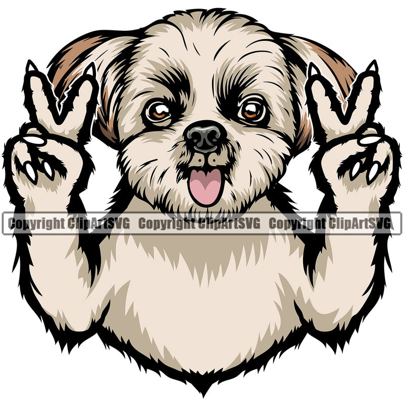 Shih Tzu Dog Peace Hand Sign Color Design Element Puppy Pup Head Purebred Pedigree Smile Canine K-9 K9 Animal Portrait Doggy Face Cute Body Vector Clipart SVG