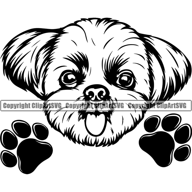 Shih Tzu Dog Peeking Smile Face Design Element Puppy K9 Animal Portrait Doggy Face Cute Body Head Purebred Pedigree Canine K-9 Vector Clipart SVG