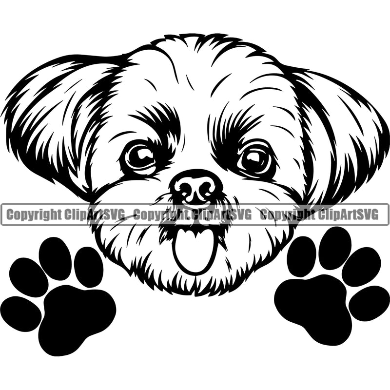 Shih Tzu Dog Peeking Paw Design Element Puppy Pup Head Purebred Pedigree Canine K-9 K9 Animal Portrait Doggy Smile Face Cute Body Vector Clipart SVG