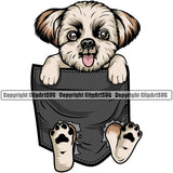 Shih Tzu Dog Hanging From Shirt Pocket Color Design Element Puppy Pup Head T-Shirt Purebred Pedigree Tshirt Canine K-9 K9 Animal Portrait Doggy Smile Face Cute Body Vector Clipart SVG