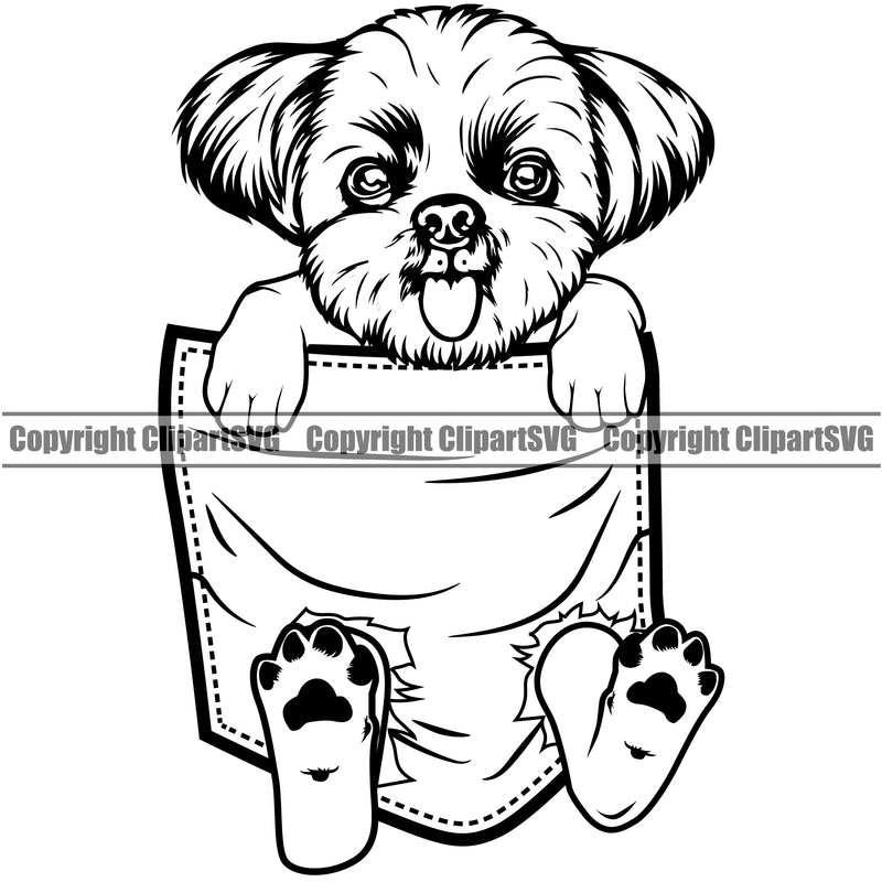 Shih Tzu Dog Hanging From Shirt Pocket White Color T-Shirt Tshirt Design Element Puppy Pup Head Purebred Pedigree Canine K-9 K9 Animal Portrait Doggy Smile Face Cute Body Vector Clipart SVG