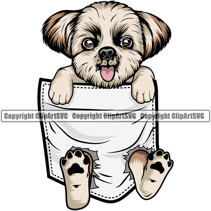 Shih Tzu Dog Hanging From Shirt Pocket Color Design Element Canine K-9 K9 Animal Portrait Doggy Smile Face Tshirt T-Shirt Cute Body Puppy Pup Head Purebred Pedigree Vector Clipart SVG