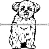 Shih Tzu Dog Sitting Design Element Puppy Pup Head Purebred Pedigree Canine K-9 K9 Animal Portrait Doggy Smile Face Cute Body Vector Clipart SVG