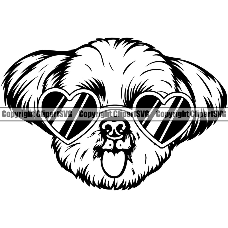 Shih Tzu Dog Wearing Sunglasses Sun Heart Design Element Puppy Pup Head Purebred Pedigree Canine K-9 K9 Animal Portrait Doggy Smile Face Cute Body Vector Clipart SVG