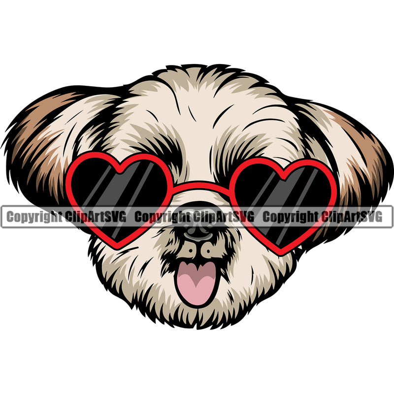 Shih Tzu Dog Wearing Sunglasses Color Sun Heart Design Element Puppy Pup Head Purebred Pedigree Canine K-9 K9 Animal Portrait Doggy Smile Face Cute Body Vector Clipart SVG