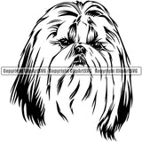 Shih Tzu Dog Head Design Element Puppy Pup Purebred Pedigree Canine K9 Animal Portrait Doggy Smile Face Cute Body Vector Clipart SVG