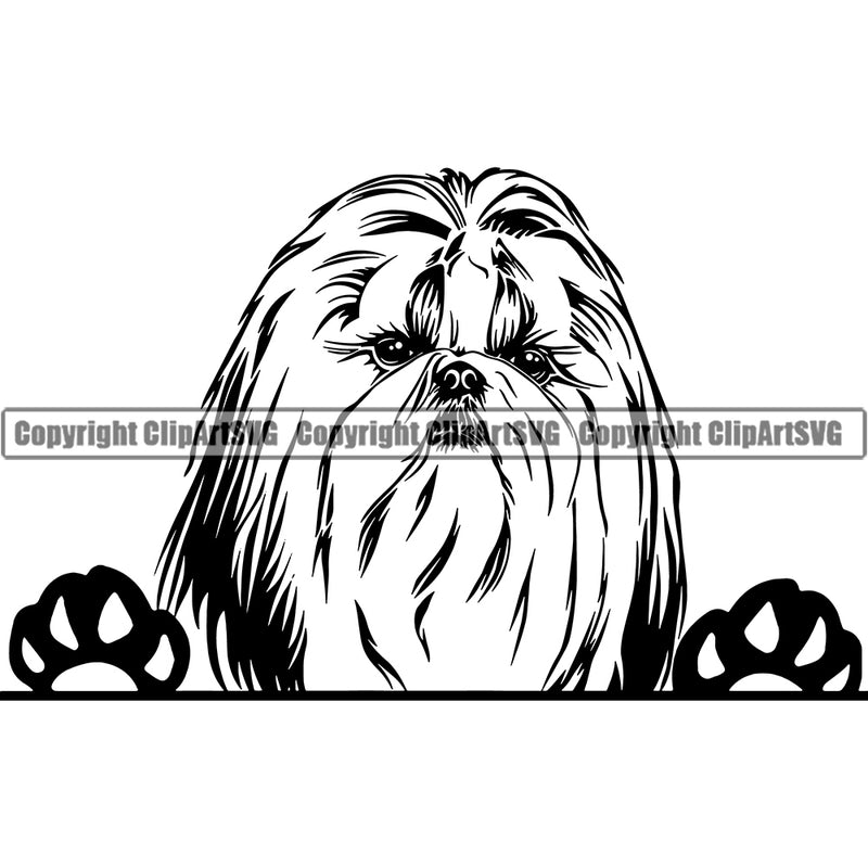 Shih Tzu Dog Peeking Design Element Puppy Canine K-9 K9 Animal Portrait Doggy Smile Face Cute Pup Head Purebred Pedigree Body Vector Clipart SVG