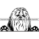 Shih Tzu Dog Peeking Design Element Puppy Canine K-9 K9 Animal Portrait Doggy Smile Face Cute Pup Head Purebred Pedigree Body Vector Clipart SVG