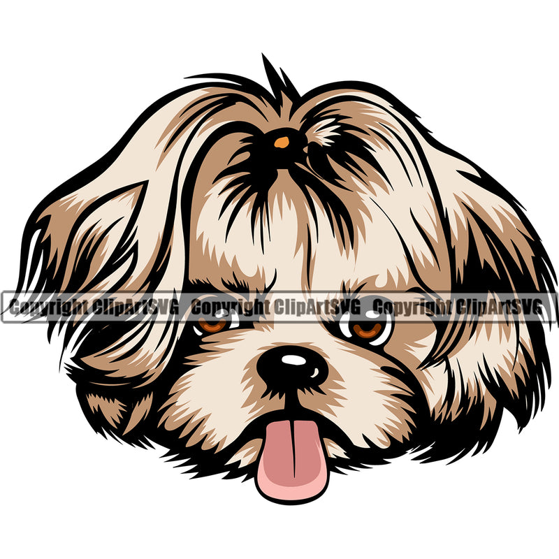 Shih Tzu Dog Color Head Design Element Puppy Pup Head Purebred Doggy Smile Face Cute Pedigree Canine K-9 K9 Animal Portrait Body Vector Clipart SVG
