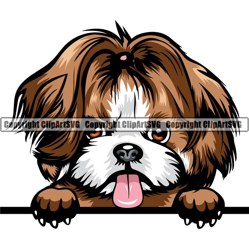 Shih Tzu Dog Peeing Color Head Design Element Puppy Purebred Pedigree Canine K-9 K9 Animal Portrait Doggy Smile Face Cute Body Vector Clipart SVG
