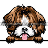 Shih Tzu Dog Peeing Color Head Design Element Puppy Purebred Pedigree Canine K-9 K9 Animal Portrait Doggy Smile Face Cute Body Vector Clipart SVG