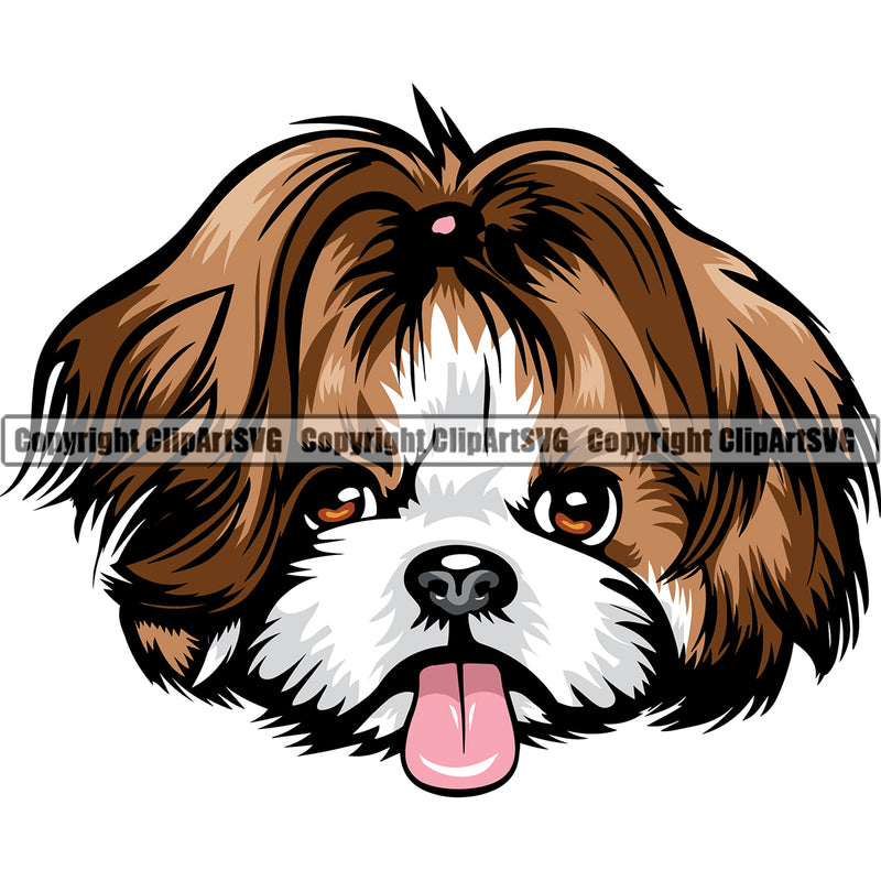 Shih Tzu Dog Color Head Design Element Puppy Canine K-9 K9 Animal Portrait Doggy Smile Face Cute Head Purebred Pedigree Body Vector Clipart SVG