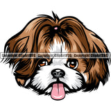 Shih Tzu Dog Color Head Design Element Puppy Canine K-9 K9 Animal Portrait Doggy Smile Face Cute Head Purebred Pedigree Body Vector Clipart SVG