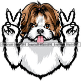 Shih Tzu Dog Peace Hand Sign Color Head Design Element Puppy Head Purebred Pedigree Canine K9  Smile Face Cute Body Animal Portrait Doggy Vector Clipart SVG