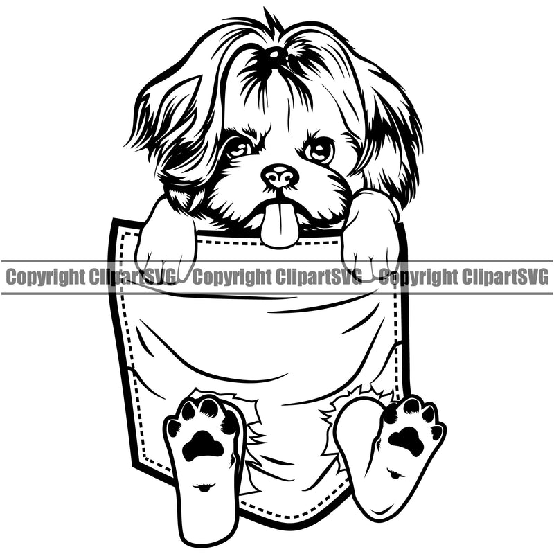 Shih Tzu Dog Hanging From Shirt Pocket Design Element Puppy Pup Head T-Shirt Tshirt Purebred Pedigree Canine K-9 K9 Animal Portrait Doggy Smile Face Cute Body Vector Clipart SVG