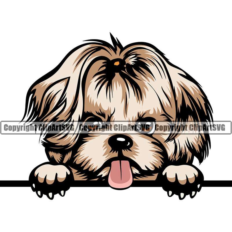 Shih Tzu Dog Peeking Color Design Element Puppy Head K-9 K9 Animal Portrait Doggy Smile Face Cute Body Purebred Pedigree Canine Vector Clipart SVG