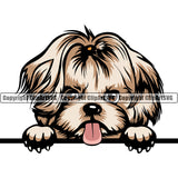 Shih Tzu Dog Peeking Color Design Element Puppy Head K-9 K9 Animal Portrait Doggy Smile Face Cute Body Purebred Pedigree Canine Vector Clipart SVG