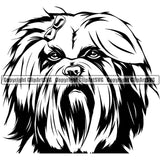 Shih Tzu Dog Head Design Element Puppy Pup  K9 Animal Portrait Doggy Smile Face Cute Body Vector Purebred Pedigree Canine Clipart SVG