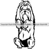 Shih Tzu Dog Begging Design Element Puppy Pup Purebred Pedigree Smile Face Cute Body Canine K-9 K9 Animal Portrait Doggy  Vector Clipart SVG