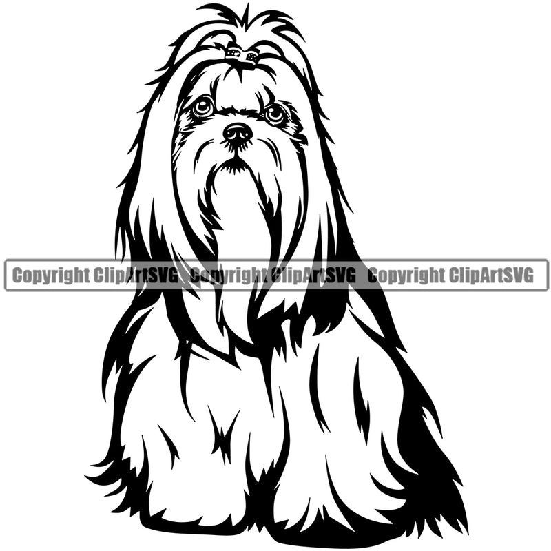 Shih Tzu Dog Sitting Design Element K9 Animal Portrait Doggy Smile Face Cute Body Puppy Pup Purebred Pedigree Canine K-9Vector Clipart SVG