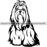 Shih Tzu Dog Sitting Design Element K9 Animal Portrait Doggy Smile Face Cute Body Puppy Pup Purebred Pedigree Canine K-9Vector Clipart SVG