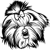 Shih Tzu Dog Head Design Element Puppy Pup Long Hair Flower Purebred Pedigree Canine K-9 K9 Animal Portrait Doggy Smile Face Cute Body Vector Clipart SV