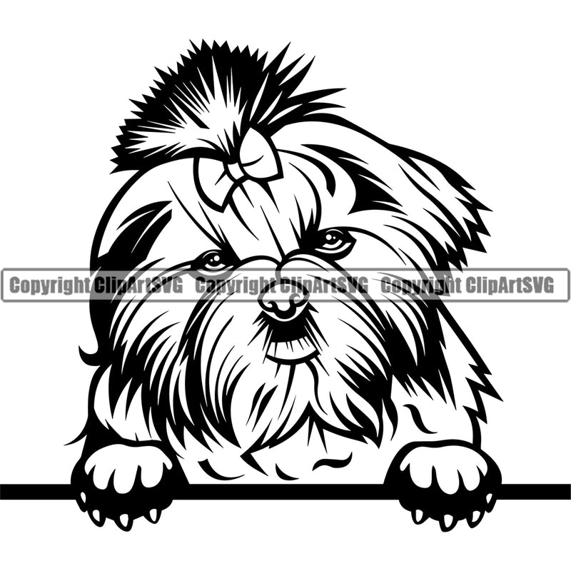 Shih Tzu Dog Peeking Design Element Puppy Pup Long Hair Purebred Pedigree Canine K-9 K9 Animal Portrait Doggy Smile Face Cute Body Flower Vector Clipart SVG