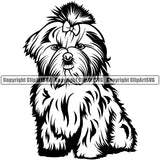 Shih Tzu Dog Sitting Design Element Puppy Pup Doggy Smile Face Cute Body Head Purebred Pedigree Canine K-9 K9 Animal Portrait Vector Clipart SVG