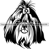 Shih Tzu Dog Design Element Puppy Long Hair Head Purebred Pedigree Canine K-9 K9 Animal Portrait Doggy Smile Face Cute Body Vector Clipart SVG