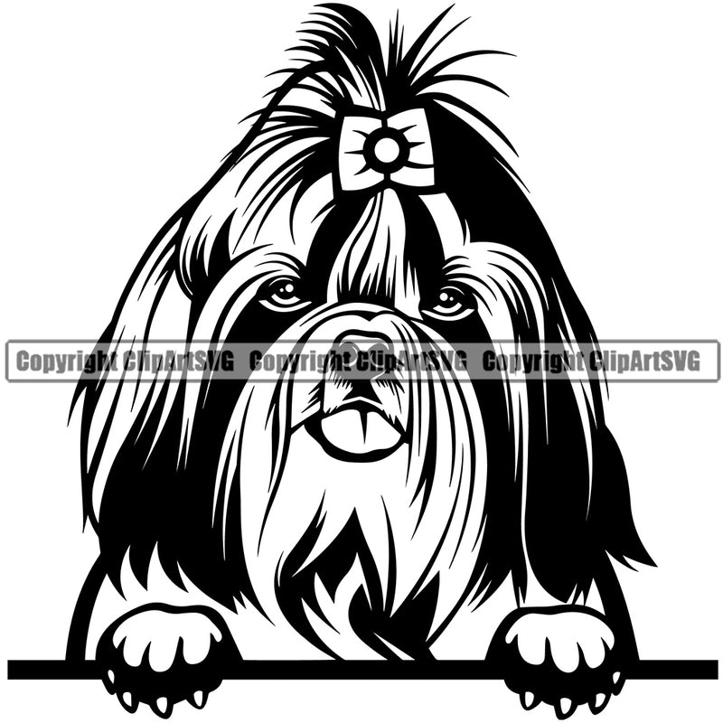 Shih Tzu Dog Long Hair Peeking Design Element Puppy Pup Head Purebred Pedigree Canine K-9 K9 Animal Portrait Doggy Smile Face Cute Body Vector Clipart SVG