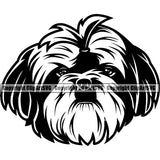 Shih Tzu Dog Head Design Element Puppy Pup Purebred Pedigree Long Hair Canine K-9 K9 Animal Portrait Doggy Smile Face Cute Body Vector Clipart SVG