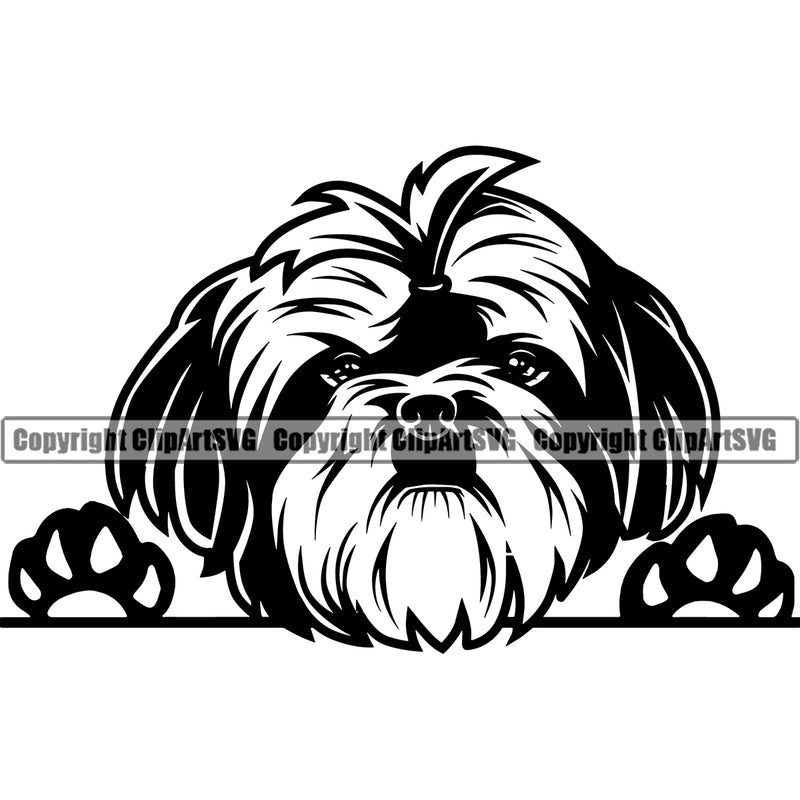 Shih Tzu Dog Peeking Design Element Puppy Long Hair Head Purebred Pedigree Canine K-9 K9 Animal Portrait Doggy Smile Face Cute Body Vector Clipart SVG