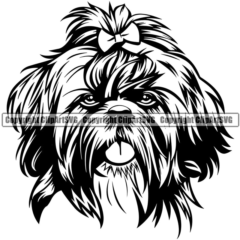 Shih Tzu Dog Long Hair Head Design Element Puppy Purebred Pedigree Canine K-9 K9 Animal Portrait Doggy Smile Face Cute Body Vector Clipart SVG