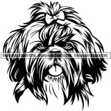 Shih Tzu Dog Long Hair Head Design Element Puppy Purebred Pedigree Canine K-9 K9 Animal Portrait Doggy Smile Face Cute Body Vector Clipart SVG