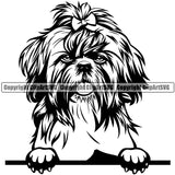 Shih Tzu Dog Peeking Design Element Puppy Head Purebred Pedigree Portrait Doggy Smile Face Cute Body Canine K-9 K9 Animal Vector Clipart SVG