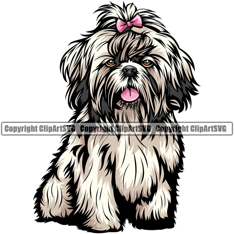 Shih Tzu Dog Sitting Color Design Element Puppy Pup Purebred Pedigree Canine K-9 K9 Animal Portrait Doggy Smile Body Vector Clipart SVG