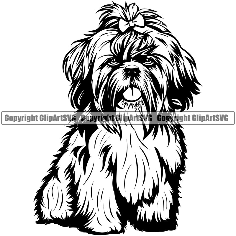 Shih Tzu Dog Sitting Design Element Puppy Pup Head Purebred Pedigree Canine K-9 K9 Animal Portrait Doggy Smile Face Cute Body Long Hair Vector Clipart SVG
