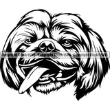 Shih Tzu Dog Head Design Element Puppy Funny Face Purebred Pedigree Canine K-9 K9 Animal Portrait Doggy Smile Face Cute Body Vector Clipart SVG