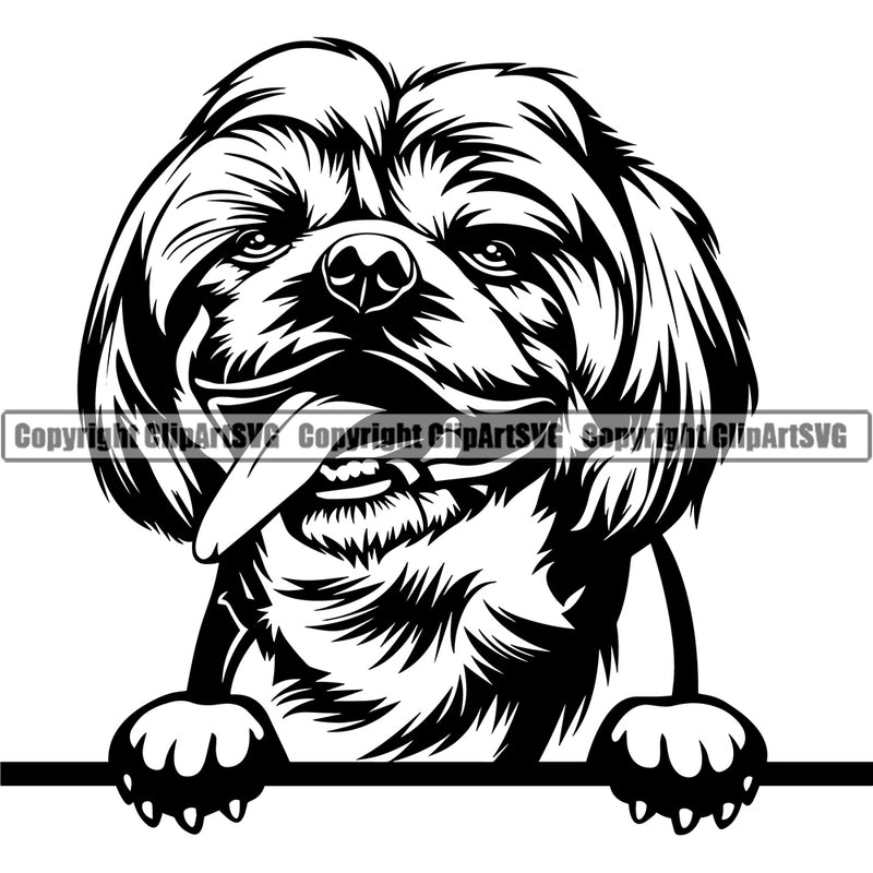 Shih Tzu Dog Peeking Design Element Puppy Pup Funny Head Purebred Pedigree Canine K-9 K9 Animal Portrait Doggy Smile Face Cute Body Vector Clipart SVG