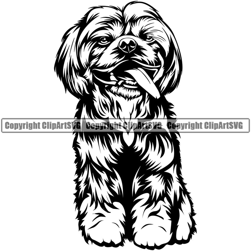 Shih Tzu Dog Design Sitting Element Puppy Funny Face Head Purebred Pedigree Canine K-9 K9 Animal Portrait Doggy Smile Face Cute Body Vector Clipart SVG