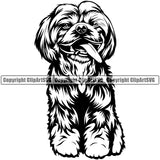 Shih Tzu Dog Design Sitting Element Puppy Funny Face Head Purebred Pedigree Canine K-9 K9 Animal Portrait Doggy Smile Face Cute Body Vector Clipart SVG